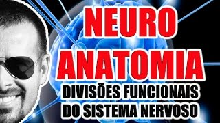 Divisões funcionais do Sistema Nervoso Somático Visceral Aferente e Eferente  VideoAula 071 [upl. by Daegal]