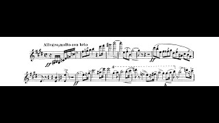 Violin orchestral excerpt  Strauss Don Juann [upl. by Noland]