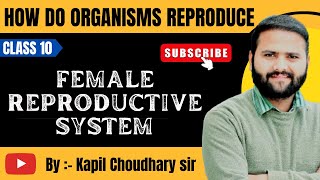 Class 10 Female Reproductive system by kapil choudhary sir [upl. by Alrep976]