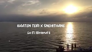 Baatien Teri Yaadein Teri original songBaatein Teri Yaadein Teri Tiktok Trending song LoFi Brands [upl. by Lucille]