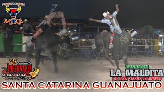 LA MALDITA Y LOS INFERNALES EN SANTA CATARINA GUANAJUATO 26 NOVIEMBRE 2024 [upl. by Ehcnalb]