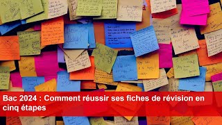 Bac 2024  Comment réussir ses fiches de révision en cinq étapes [upl. by Jacquie271]