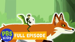 Wild Kratts  Outfoxed  PBS KIDS [upl. by Vil320]