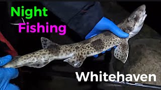 BEST FISHING SESSION OF MY LIFE night fishing for rays  Whitehaven Pier [upl. by Erbma995]