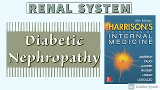 DIABETIC NEPHROPATHY  Pathogenesis  Stages  Treatment  Harrison [upl. by Edylc]