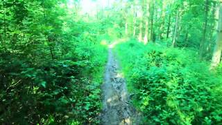 Steigerwald Mountainbike Trail Tour Mtb GoPro Hero 7 Black 30 05 2019 [upl. by Vadim]