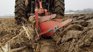 Zetor 6211  plugplough OLT Posavac  oranje kukuruzištaploughing cornfields 2020 [upl. by Maroney]