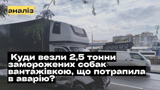 Аварія з вантажівкою в Миколаєві Куди у вантажівці везли 25 тонни заморожених собак mukhachow [upl. by Adihsar658]