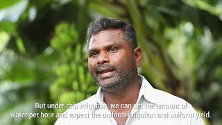 Banana Farmer Success story from Tamil Nadu  Netafim India [upl. by Nored454]