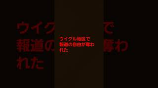 中華人民共和国が国民の弾圧を再び強め、更に国内外ともに中華人民共和国への恐怖心と反発心が強くなる見込み [upl. by Arocahs]