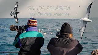 Salidas Pelágicas en Mar del Plata [upl. by Ranip605]