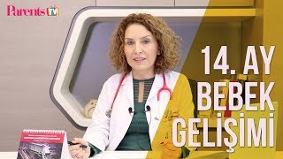 Parents TV  14 Ay Bebek Gelişimi [upl. by Hehre]