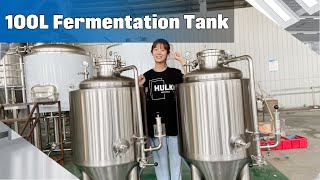 100L 1BBL Fermentation Tank Homebrew Fermenter  HULK Brewtech [upl. by Paviour]