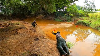 Córrego lotado de traíras gigantes Pescaria foi de arrepiar [upl. by Elamor]