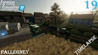 🐄 Feeding the Cows 🥛 and 🌾 Harvesting Wheat 🚜  Farming Simulator 22 🎮  Pallegney  Episode 19 🎉 [upl. by Arinaid]