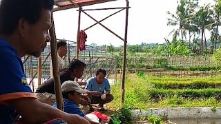 BLERO ADVENTURES sedang live sekarang mancing borongan di kaki gunung slamet [upl. by Amy]