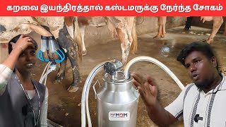 பண்ணையாளர் கொடுத்த அதிர்ச்சி😰நடந்தது என்ன ❗ MDM NANO MILKING MACHINE [upl. by Alice]