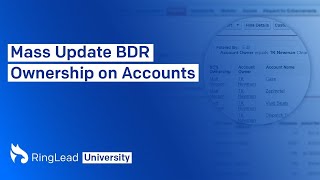 Mass Update BDR Ownership on Accounts in Salesforce [upl. by Akirej]