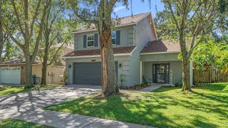 3674 Fremantle Dr Palm Harbor FL [upl. by Rondon]