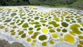 Aerial View for Spotted Lake Osoyoos BC Canada June 102024 [upl. by Di562]