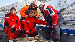 Mefjord Brygge Fishing CampNorway Fishing 2024 [upl. by Enirbas612]