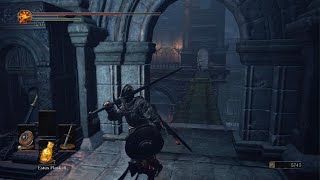 Vengeance On Unbreakable Patches  DARK SOULS III [upl. by Lorry]