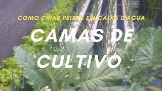 Como Criar Peixe em Caixa DÁgua  Parte 3  CAMAS DE CULTIVO [upl. by Dre606]