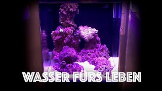 Frisches Meerwasser ansetzen Meerwasseraquarium starten [upl. by Znieh]