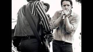 The Paul Butterfield Blues Band  Look Over Yonders Wall [upl. by Gideon]