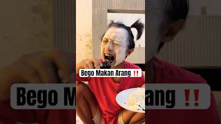 Haduh‼️ Bego Makan Arang Pakai Nasi❗️ [upl. by Inatsed]