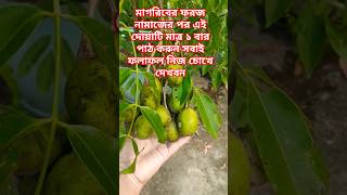 বারো মাসি আমড়া আামার সাদ বাগানেরforyouviralshortsyoutubeshortsgardeningwazmotivationcooking [upl. by Nhguavoj287]