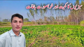 Sabjiyon Ka Khet Or Khubsurat Bhagat  beautiful village life in Pakistan  Muhammad Siyab Khan [upl. by Gregorius]