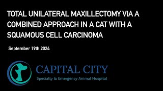 Total Unilateral Maxillectomy via a Combined Approach in a Cat 20240919 [upl. by Rheba]