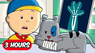 What Happened to Gilbert  Full Episodes  Caillou Compilations [upl. by Iznil404]