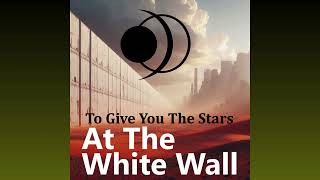 At The White Wall By To Give You The Stars heavymusic progrock [upl. by Noteloc]