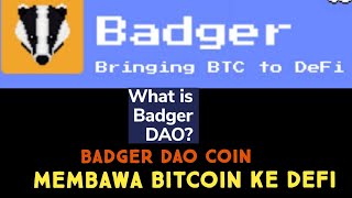 Badger Dao coin [upl. by Belanger]