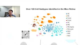 Comprehensive characterisation of the mouse retina transcriptome using longread RNA sequencing [upl. by Fonseca871]