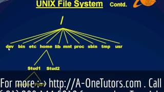 Unix File Systems [upl. by Hecker]