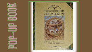 Brambly Hedge Through The Hedgerow a 3D PopUp Book by Jill Barklem [upl. by Ateinotna268]