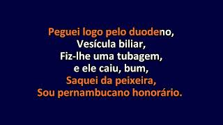 Moreira Da Silva  Na Subida do Morro  Karaoke Instrumental Lyrics  ObsKure [upl. by Prasad]