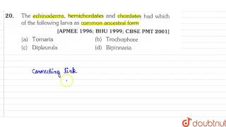 The echinoderms hemichordates and chordates hd which of the following larva as common ancestral [upl. by Belcher]