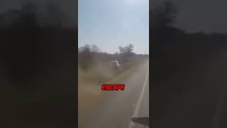 Police Chase Ends Badly For The Thieves 😨 [upl. by Tfat]