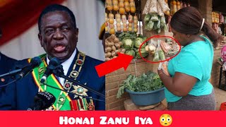 Mnangagwa Showdown Ahead Of SADC Summit Zvaendwa Honai 😳 [upl. by Inger594]