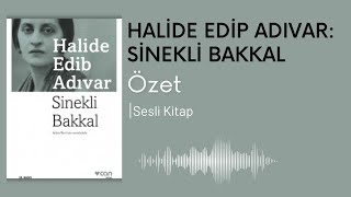 Halide Edip Adıvar Sinekli Bakkal Detaylı Özet  Okul Sınavlarına Yardımcı Podcast [upl. by Korella]