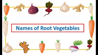 Names of Root Vegetables Root Vegetables different types of root vegetables  root  EToddlers [upl. by Nowaj]