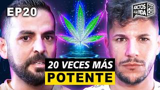 La MARIHU4NA SINTÉTICA casi ME MATA  CÓMO DEJAR DE CONSUMIR CANNABIS  AV 20 ft Daniel Matamalas [upl. by Enovad]