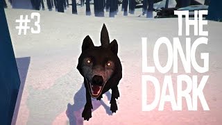 NICE DOGGY  THE LONG DARK EP3 [upl. by Dillie]