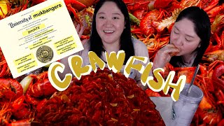 crawfish seafood boil mukbang  best crawfish in Austin [upl. by Laurinda]