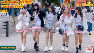 4k hdr japan travel 2024  Walk in Akihabara（秋葉原）Tokyo Japan  Relaxing Natural City ambience [upl. by Budding]