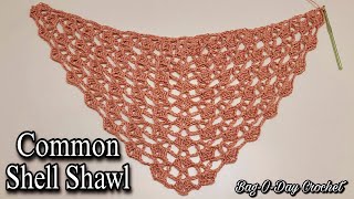 EASY Crochet Shawl Tutorial  Common Shell Stitch Shawl [upl. by Pengelly]